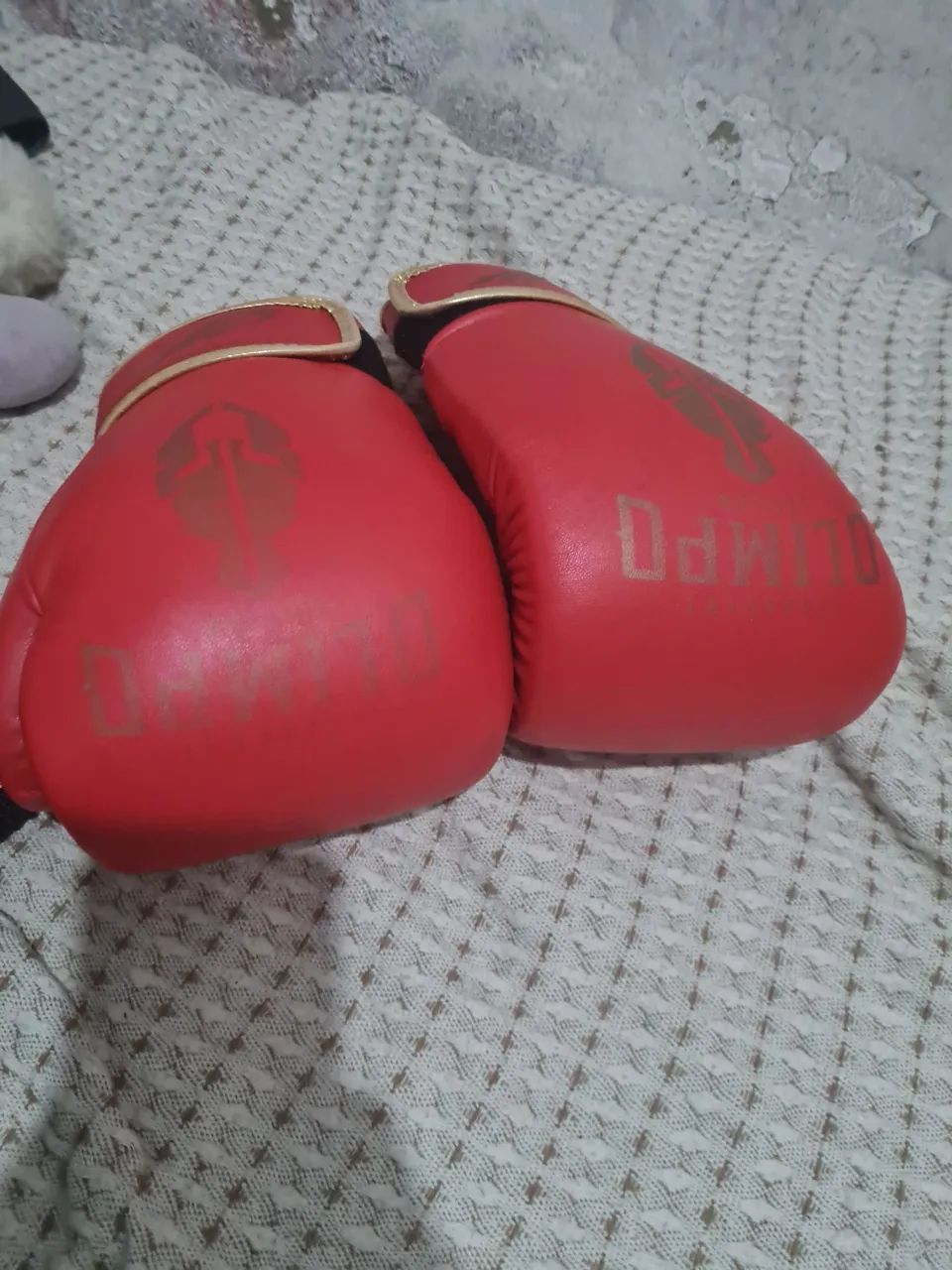 Luvas de boxe  semi nova