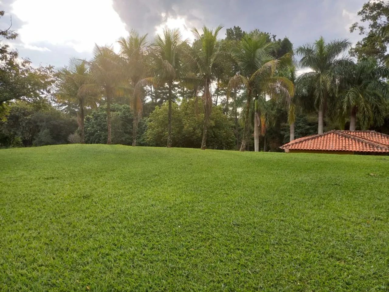 Sítio à venda em Limeira - SP. - Foto 5