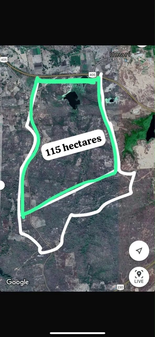 LOTE / TERRENO - 115 HECTARES  (ACEITO TROCA) - Foto 5