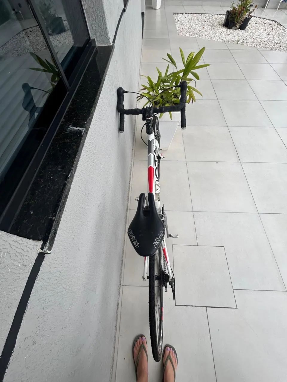 Bike Speed  - Foto 5