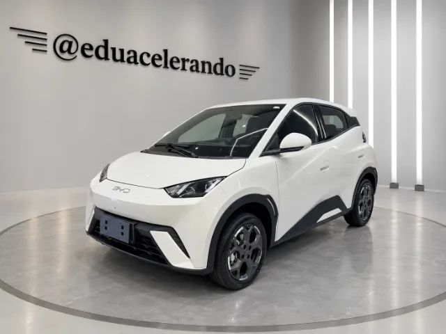 BYD Dolphin Mini (Elétrico) 2027