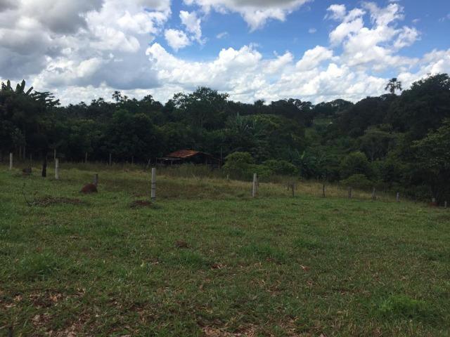 Fazenda com 5,5 Alqueires, Toda Formada, Pontalina Goiás, - Foto 9