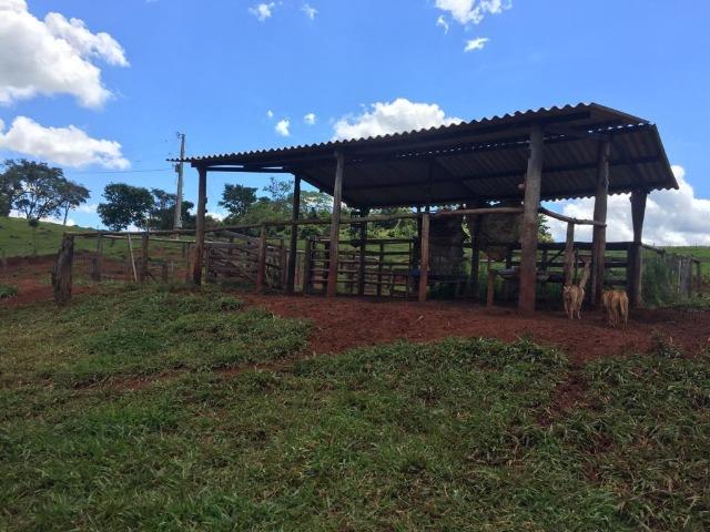 Fazenda com 5,5 Alqueires, Toda Formada, Pontalina Goiás, - Foto 6