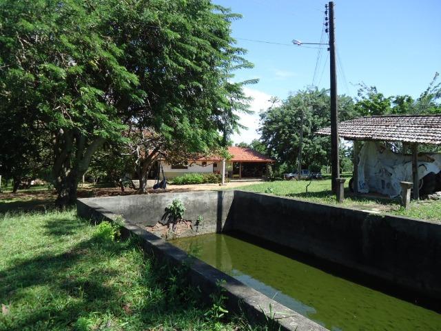 Vendo Fazenda em Ceará Mirim - Foto 7