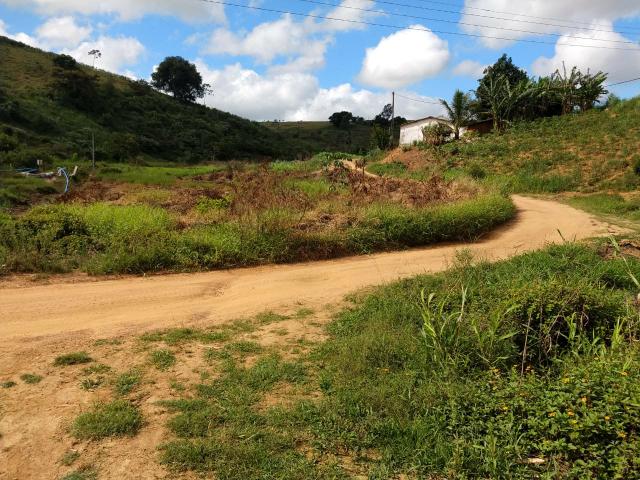 Fazenda com 180 Hectares a 8 km da Pista de Cortês-PE - Foto 9