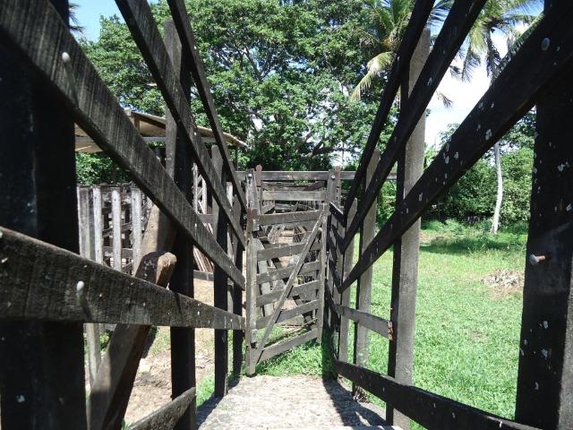 Vendo Fazenda em Ceará Mirim - Foto 3