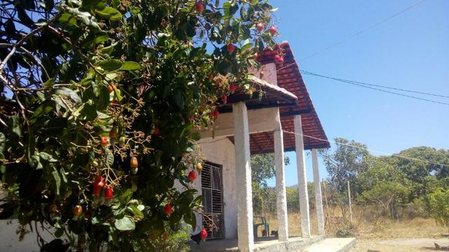 Propriedade Rural/São Gonçalo do Piauí - Foto 12