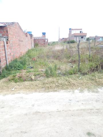 Terreno 8×20 - Foto 2