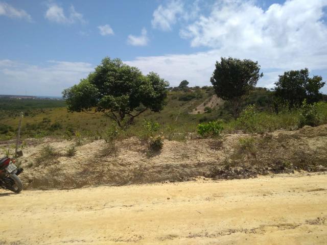 Terreno em Tamandaré! - Foto 6