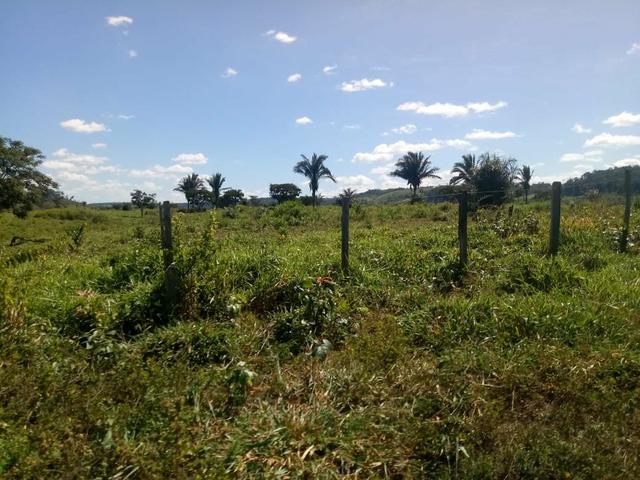 Vendo excelente fazenda / maranhão - Foto 7