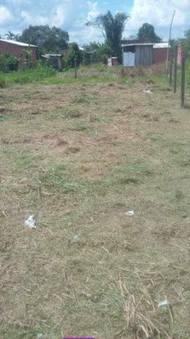 Terreno barato - Foto 6