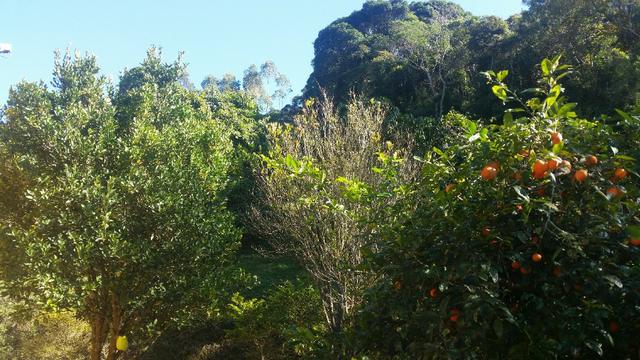 Sitio em São Lourenço da Serra / Juquitiba - Foto 17