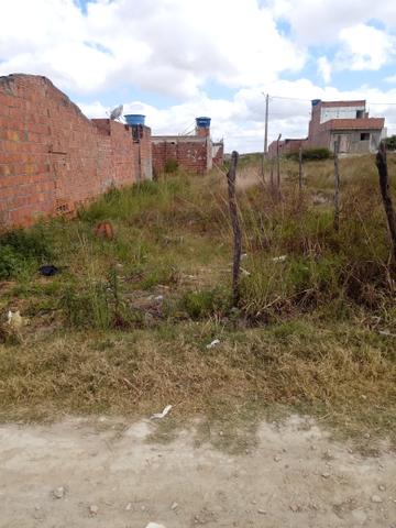 Terreno 8×20 - Foto 4