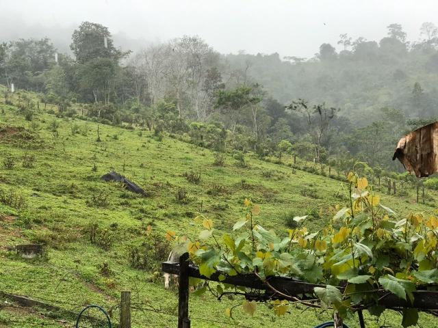 Vende-se Fazenda no Boqueirão de Itajuru - BA - Foto 2