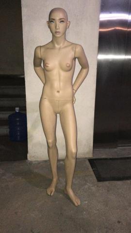 Manequim Feminino - Foto 2