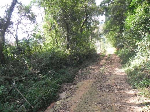 Agt-ótimo terreno para construir chacará na região de Mairiporã - Foto 5