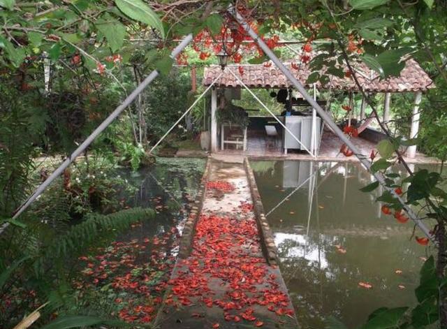 Chácara no Povoado de Rochedo! Ótimo para pesca e descanso! - Foto 2