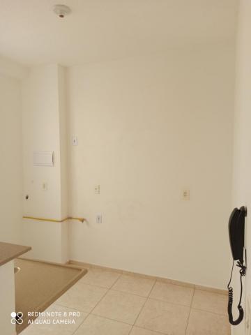 Apartamento para alugar com 2 dormitórios em Jardim nunes, Sao jose do rio preto cod:L7294 - Foto 5