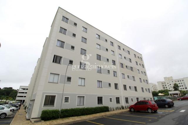 Apartamento para alugar com 2 dormitórios em Pinheirinho, Curitiba cod:13924001