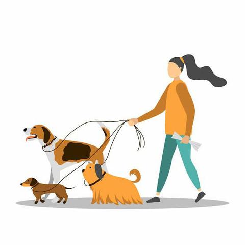 Passeadora de cães - Foto 3