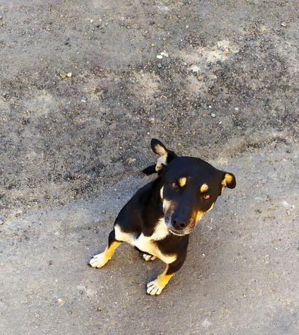 Doação - Foto 2