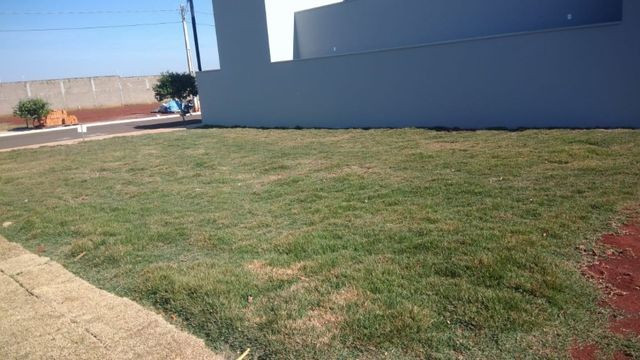 Terreno - Foto 14