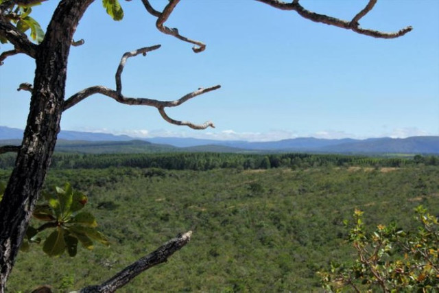 Lindas fazendinhas de 20 mil metros, Serra do Cipó (Temos varias opções). - Foto 2