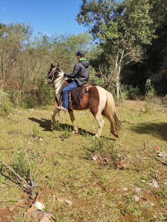 Vendo ou. Troco os dois por outro  - Foto 3