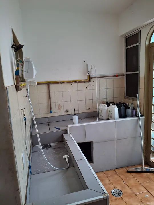 PETSHOP / BANHO E TOSA MONTADO NA SILVA JARDIM - Foto 7