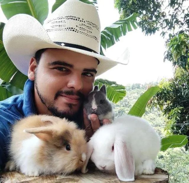 PÁSCOA - Coelho GIGANTE - Anão e Mini Importado - Foto 5