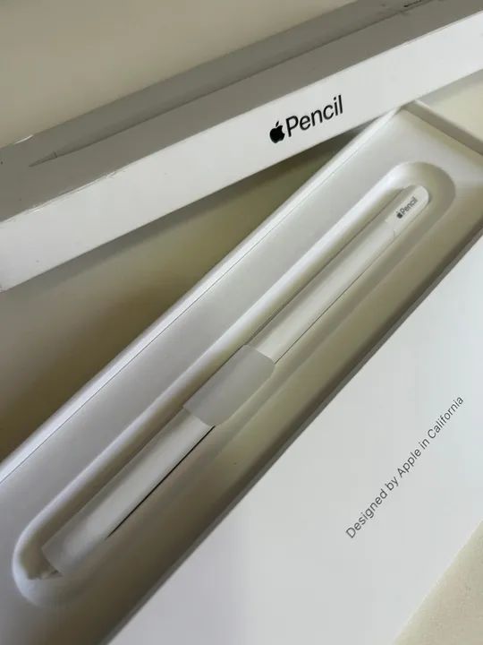 Apple Pencil Usb-c Original Caneta para IPad