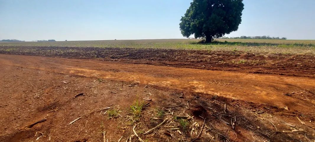 Sitio de 38,72 hectares com terra de cultura - Foto 2