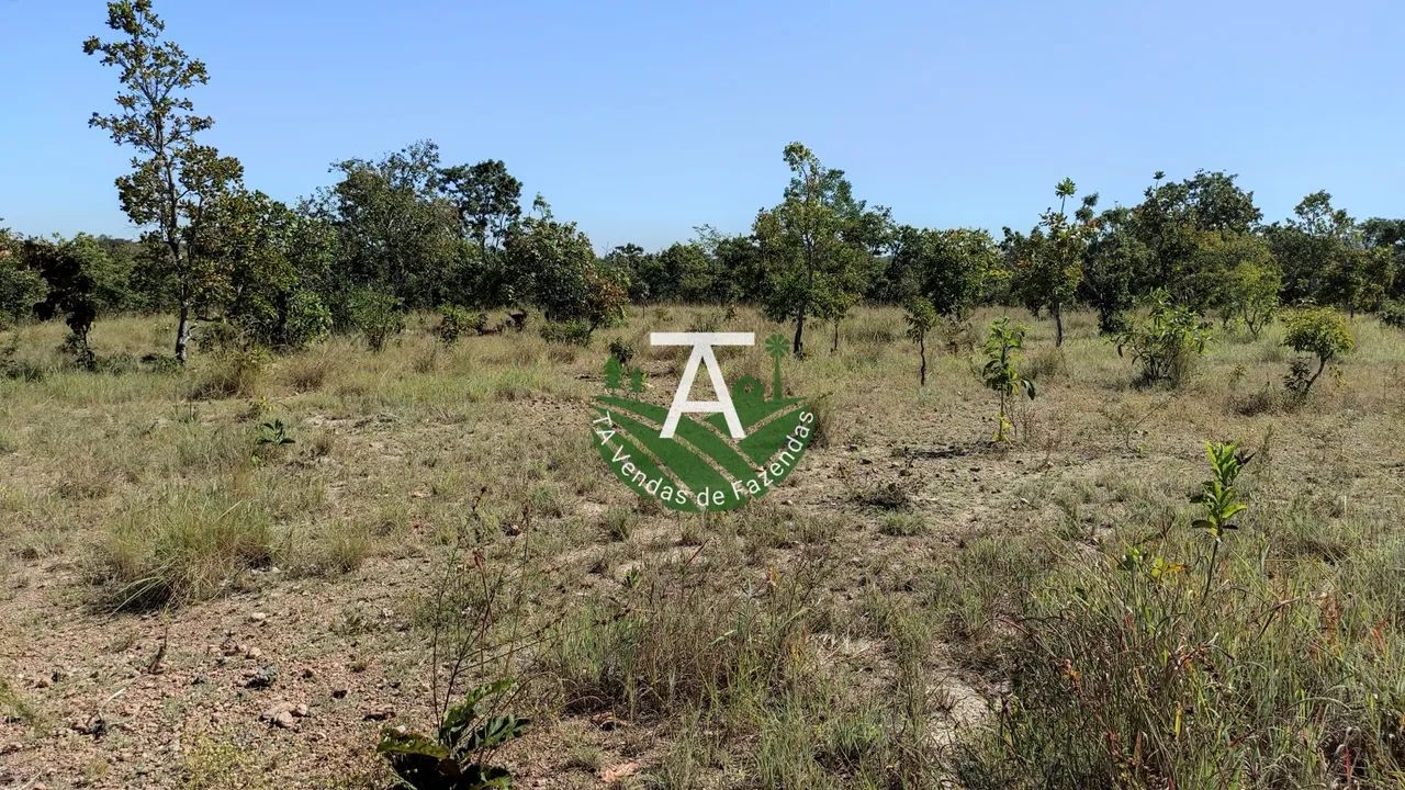 Fazenda no Faina GO 38 alq - Foto 5