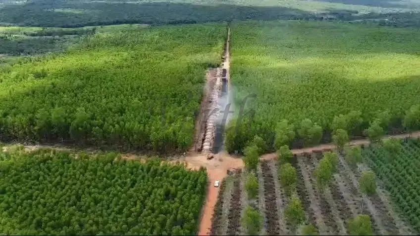 Fazenda à Venda, 714 hectares, Sete Lagoas - MG