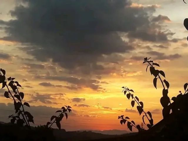 Chácara Guararema  - Foto 15