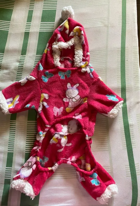 Roupa para pet