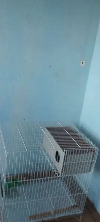 Gaiola de calopsita completa - Foto 3