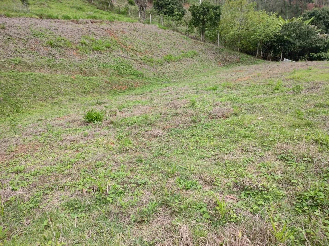 Chácara no bairro Inácio Martins, Viçosa-MG - Foto 2