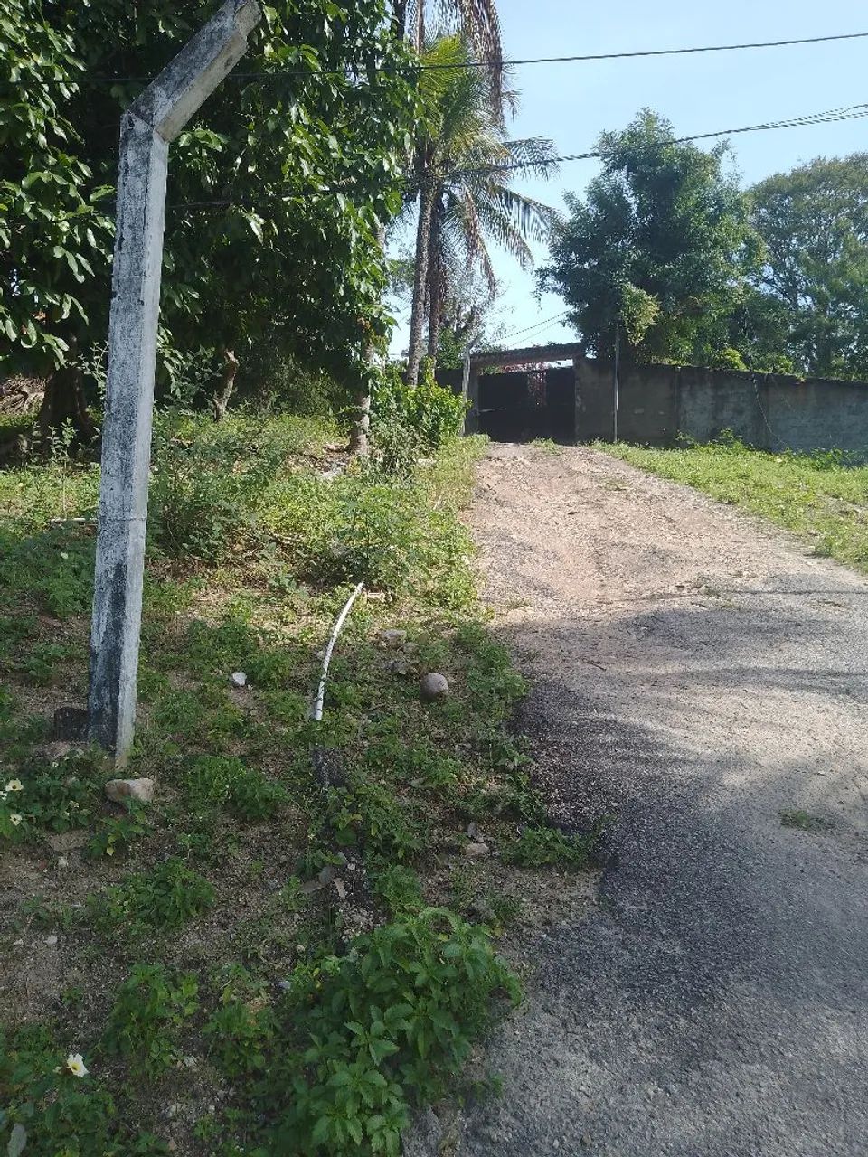 Vendo sítio  - Foto 3