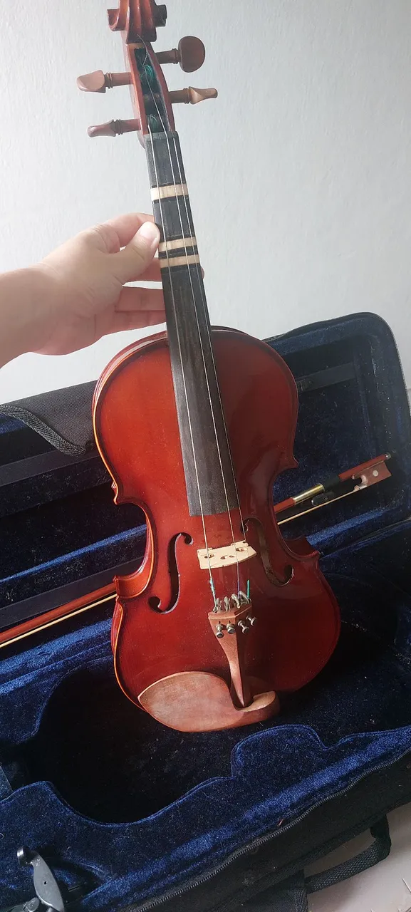 Violino com Arco, Estojo e espaleira