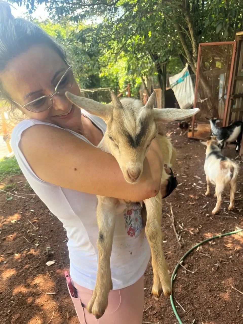 Agronegócio  - Foto 2