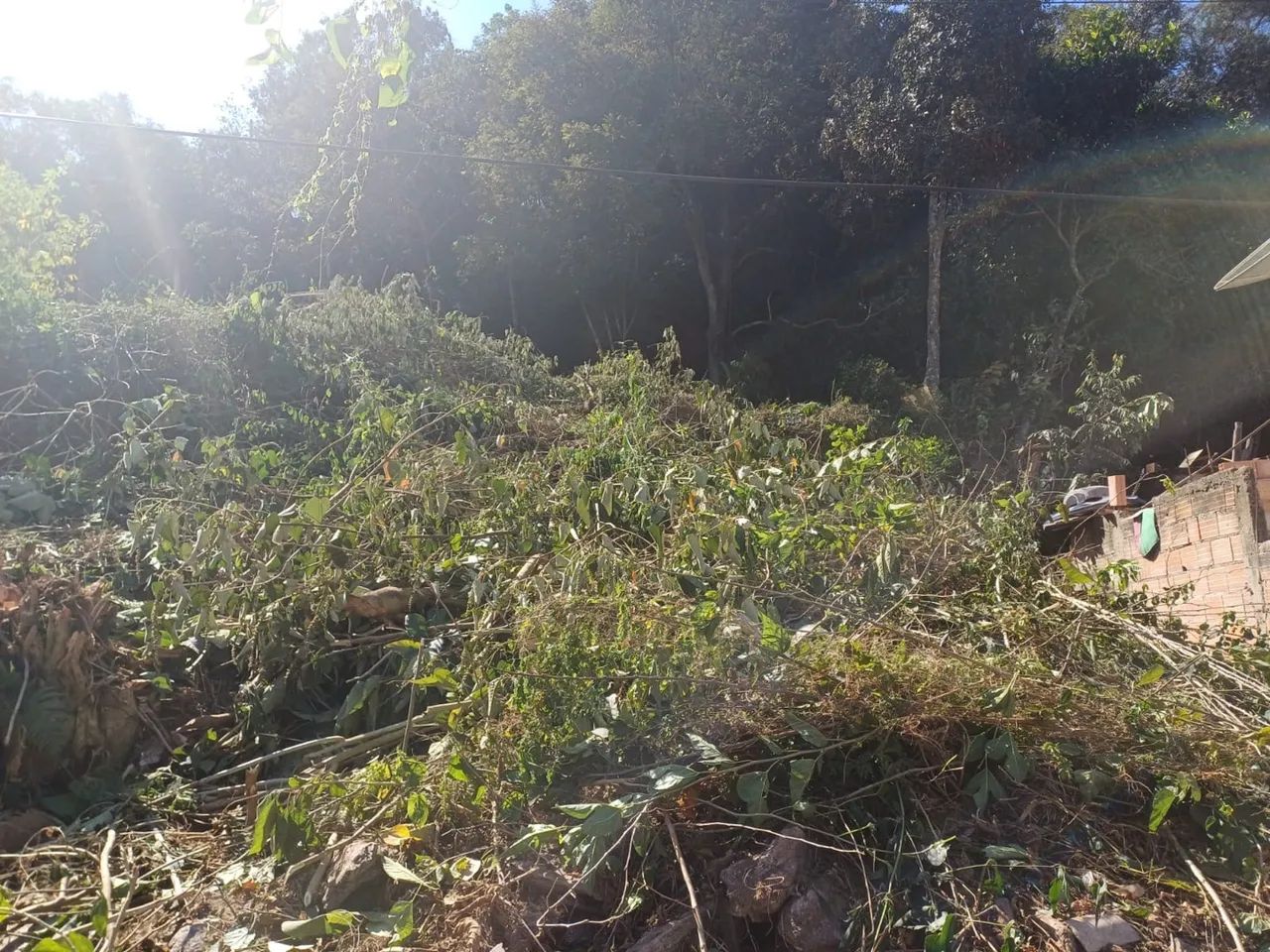 Terreno com área verde em local tranquilo - Foto 4