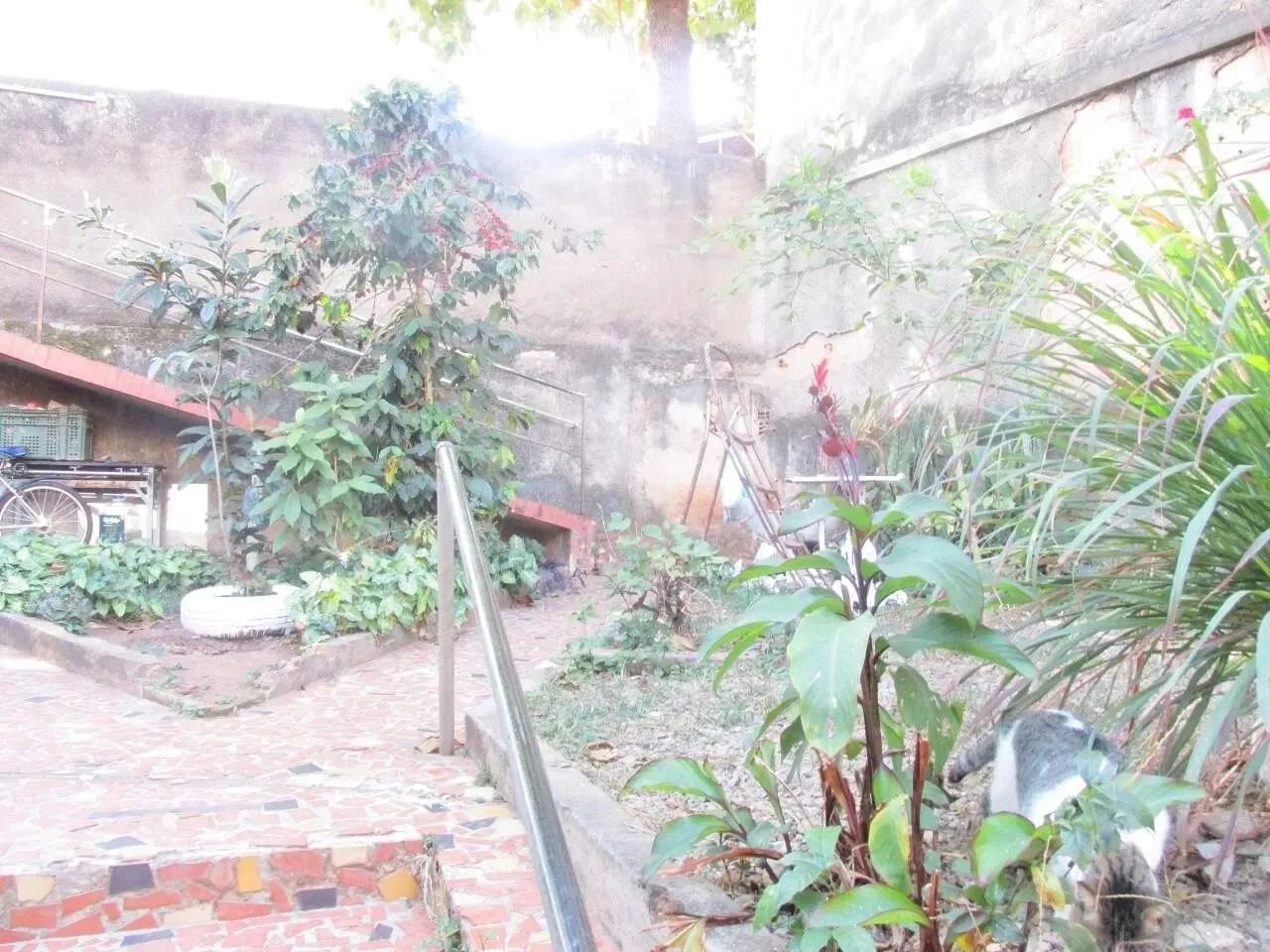 Lote - Terreno à venda, Sagrada Família - Belo Horizonte/MG - Foto 7