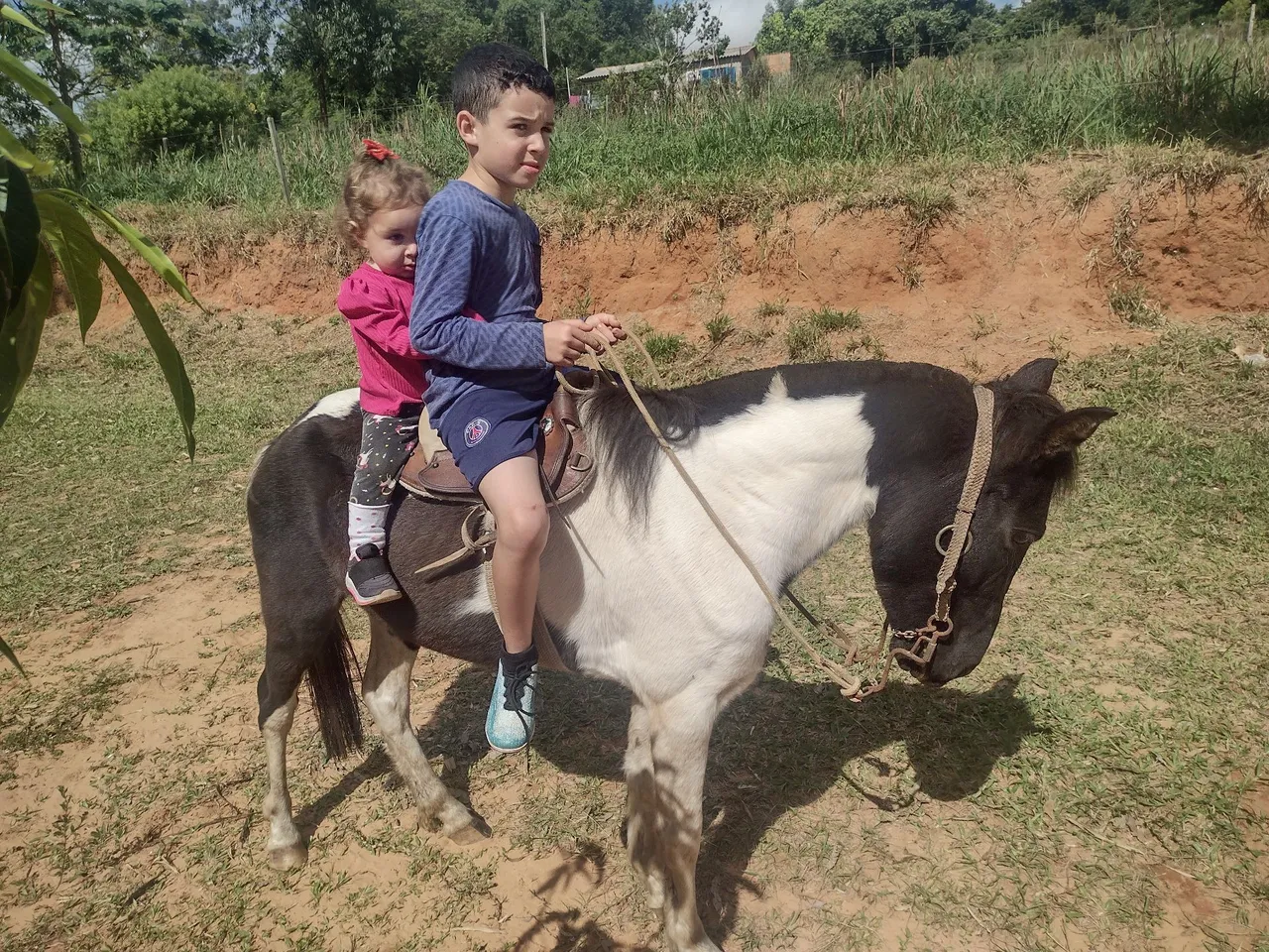 Pônei para passeios e diversão!