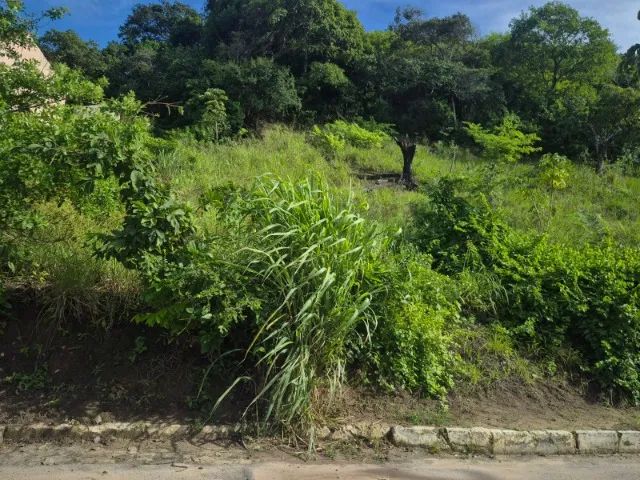 TERRENO NO CENTRO PRÓXIMO A IGREJINHA - Foto 3
