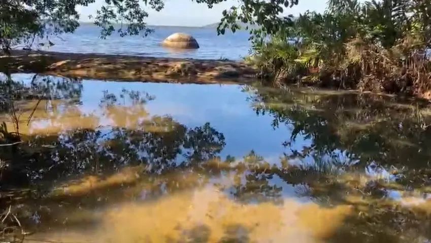 Lagoa da Conceição Terreno(Costa da Lagoa) Oportunidade Imperdível...510 MIL