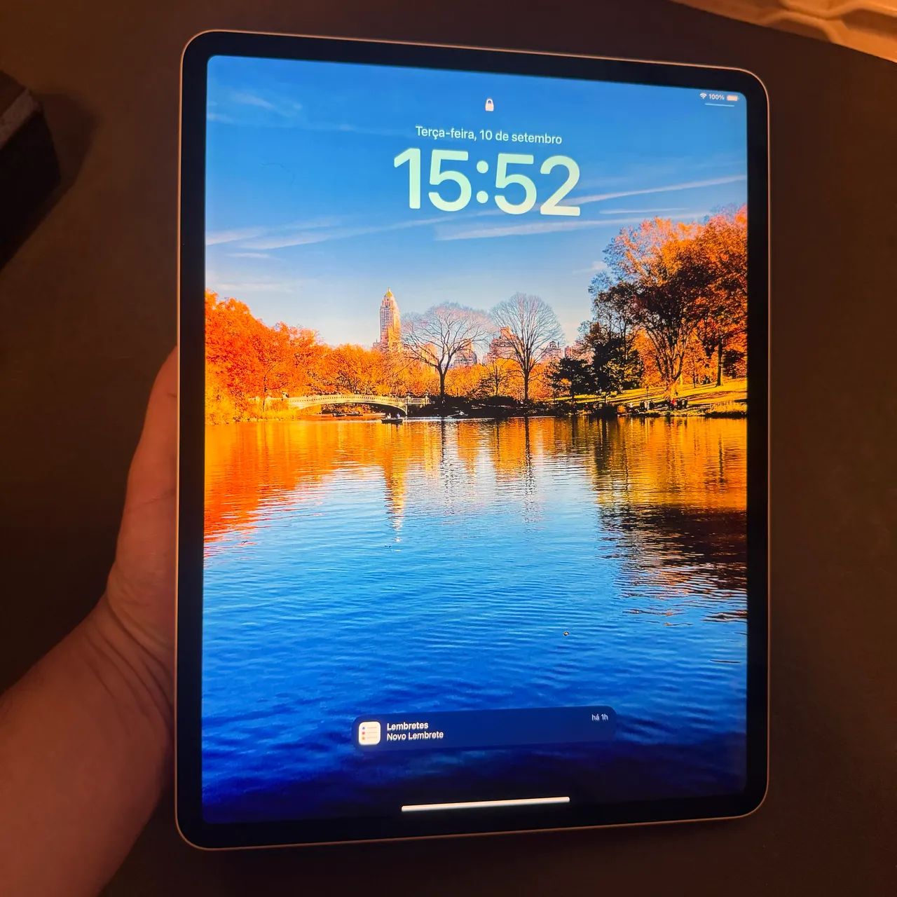 iPad Pro 12,9 256Gb Wi fi 3ª Geração  - Foto 3