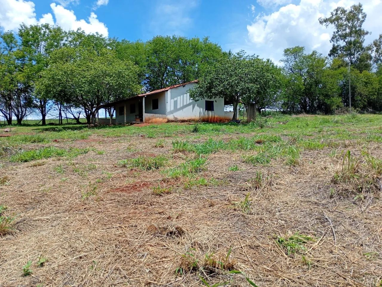 Terreno de 20 mil metros módulo rural  - Foto 2