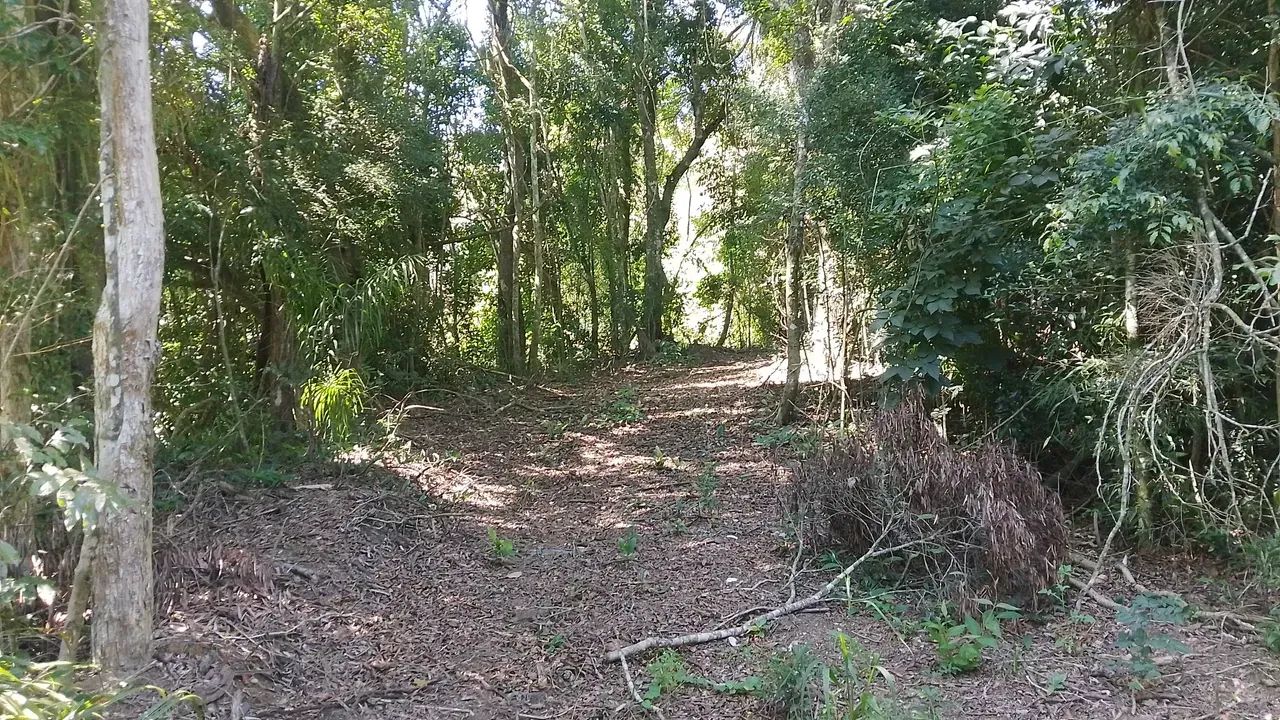Terreno em Piedade