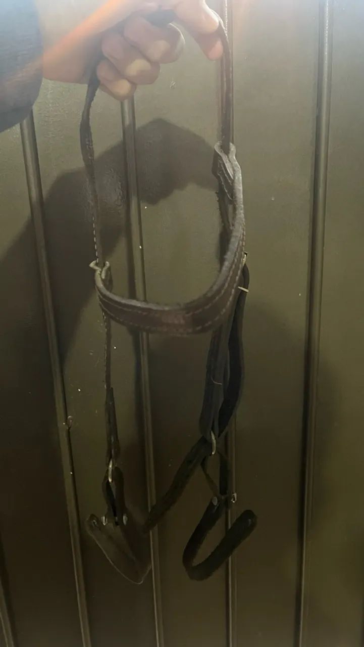 Cabeçada de couro 